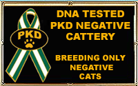 PKD Negative Cattery of Exscellence